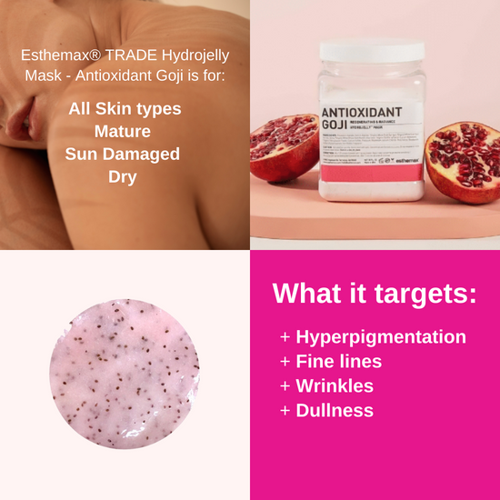 Esthemax Hydrojelly Mask - Antioxidant Goji skin targets, on Spa Circle Brands product listing page.