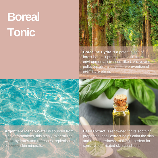 Rawceuticals™ Boreal Tonic™ Trade & Retail Size key ingredients and skin benefits, on Spa Circle Brands product listing page.